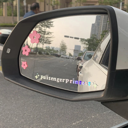 Passenger Princessᵀᴹ